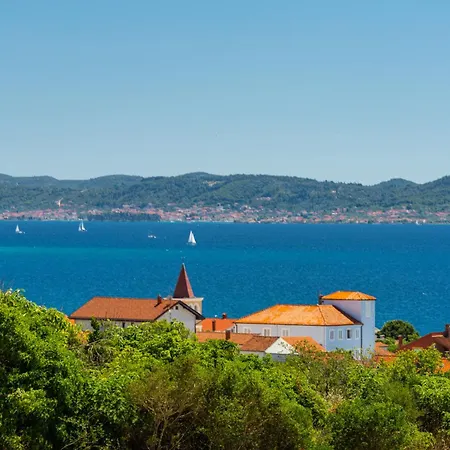 فيلة Kale زادار